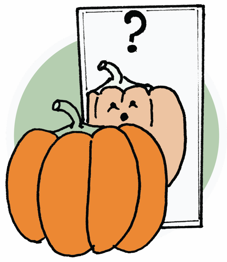 illustration of pumpkin looking in the mirror having an identity crisis